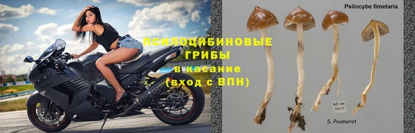эйфоретик Аркадак
