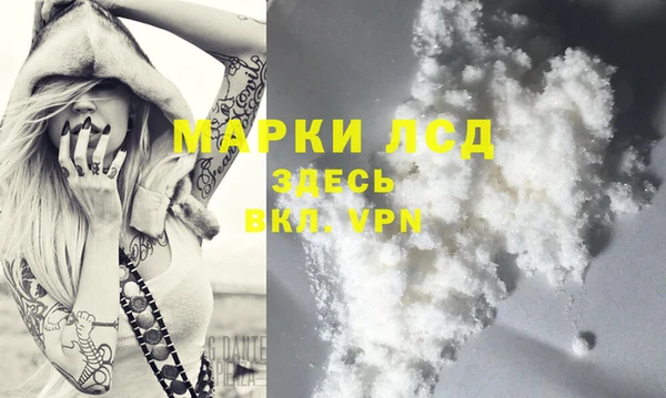 эйфоретик Аркадак