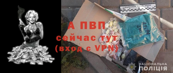 эйфоретик Аркадак